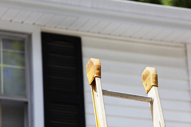 Best Storm Damage Siding Repair  in Waverly, NE